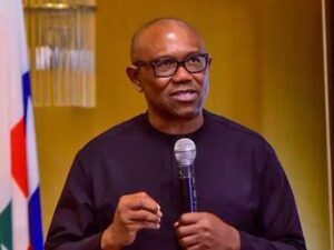 Peter Obi Urges Tinubu to Delay State Police Implementation Until After 2027 Elections