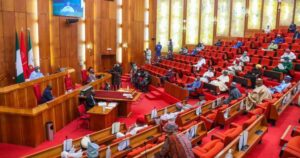 Senate Orders DSS, Police To Hunt Bandits Flaunting Cash And Giveaways On TikTok