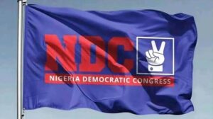 NDC Rejects Claims Of Rigged Primaries, Denies Imposition Of Candidates
