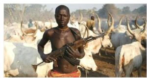 Police Confirm 18 Killed in Farmers–Herders Clash in Niger State