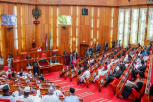 Senate Approves N11.074tn Revenue Target, N1.295tn Budget for Nigeria Customs in 2026