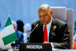 Shettima Warns South Africa: Nigeria Won’t Tolerate Dehumanisation of Citizens