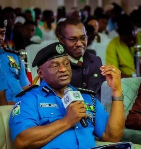 IGP Disu Warns Nigerian Youths Against Becoming Tools for Electoral Violence