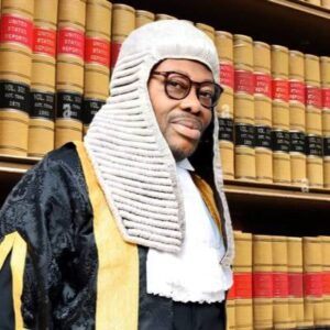 Tinubu Not Required to Submit Primary, Secondary Certificates to INEC — Ubani, SAN