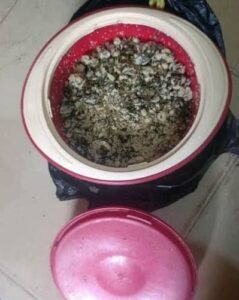 19-Year-Old Woman Arrested Over Alleged Attempt to Poison Husband in Bauchi