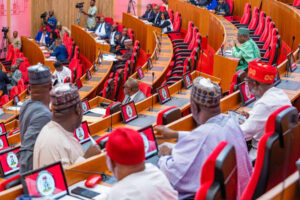 2027: Senate Backs Rainbow Coalition, Says Cross-Party Alliance Is on Course